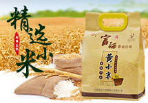 太原汾东小杂粮加工有限公司