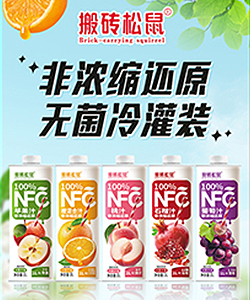 嘉兴市搬砖人贸易有限公司