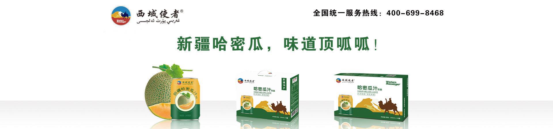 新疆西域使者投资有限公司