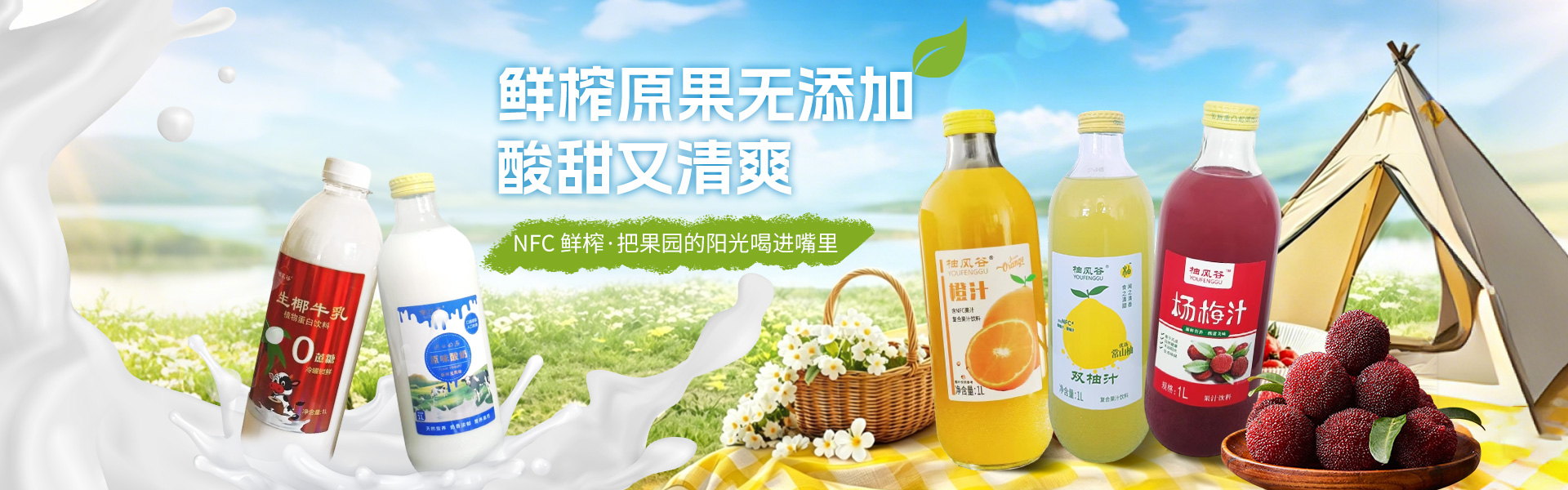 江苏三椰生物科技有限公司