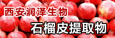 西安润泽生物技术有限公司