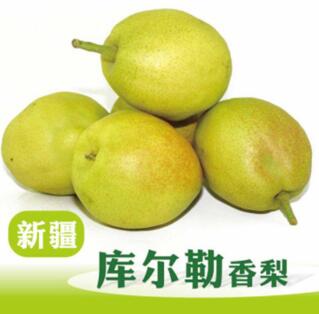 食品玛咖饮料泰牛饮料山楂凉果劲情红枣红枣啤酒友利友苏打水乳之星乳